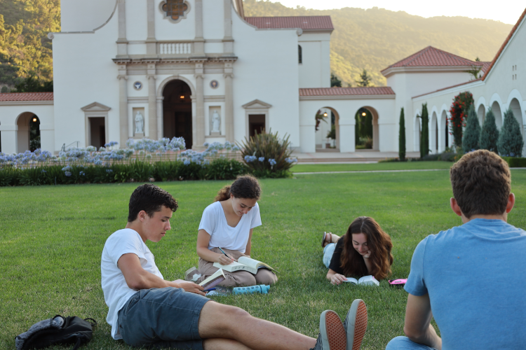 Four study together in the grass of the quad