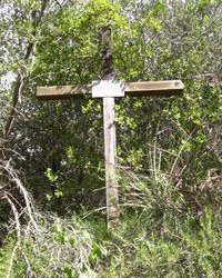Memorial cross erected near the spot where Angela Baird (’00