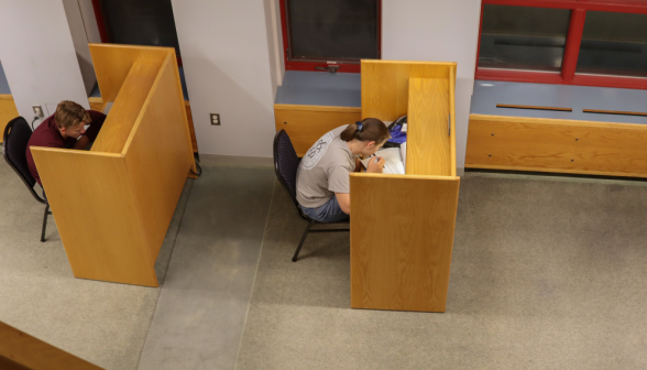 Two studying at individual desks