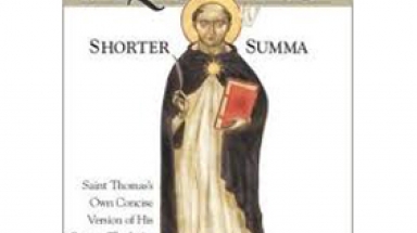 Image for Aquinas Shorter Summa