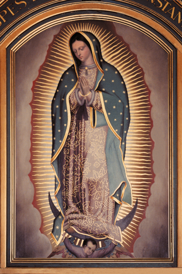 Our Lady of Guadalupe