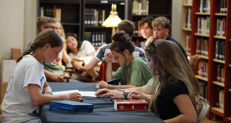 Students study at tables in the library