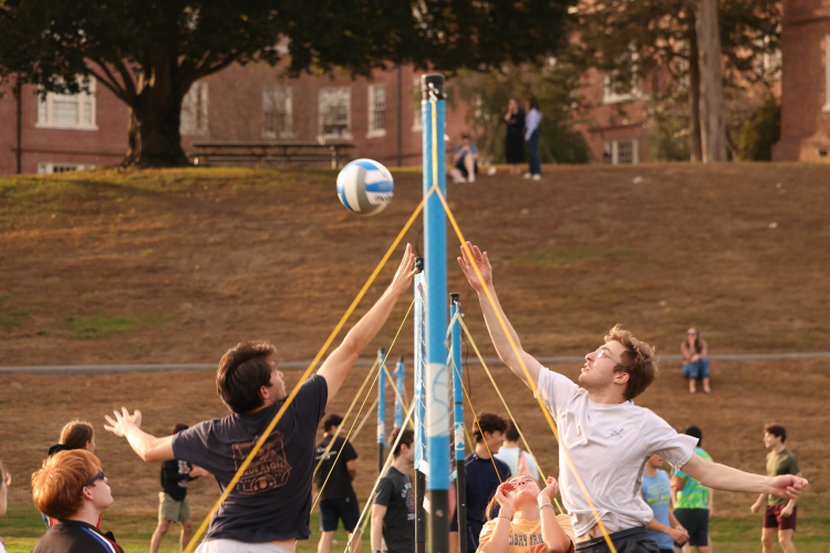 Volleyball