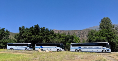three buses