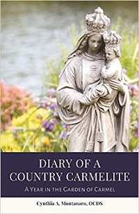 Diary of a Country Carmelite, by Cynthia (Six '77) Montanato