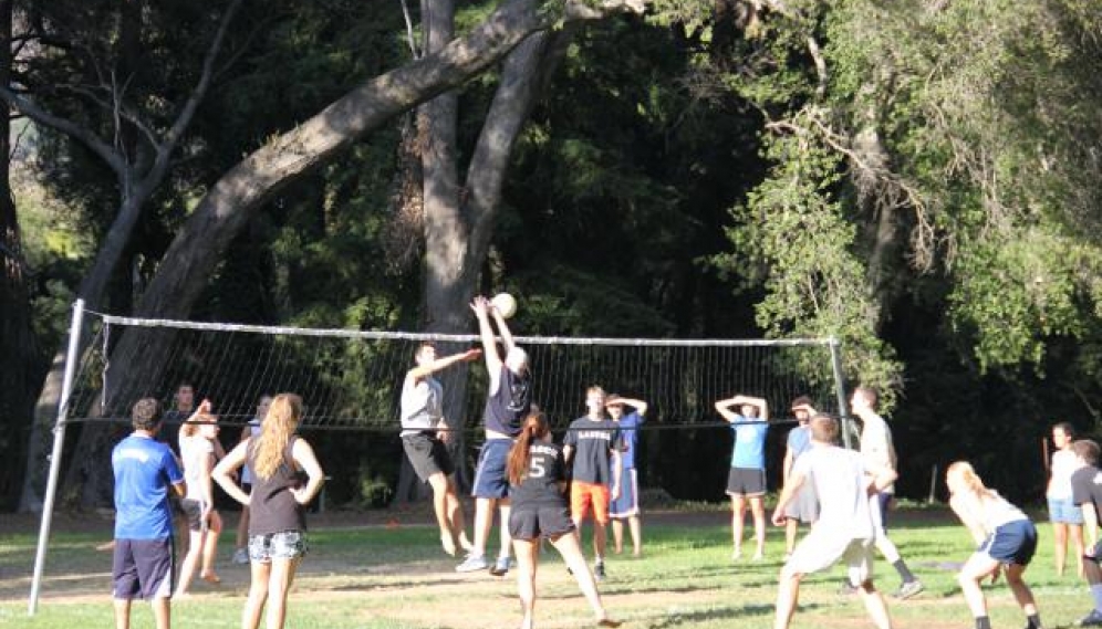 Fall Volleyball 2012