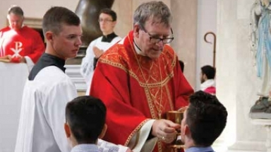 Bishop Barron Distributes Communion 2016
