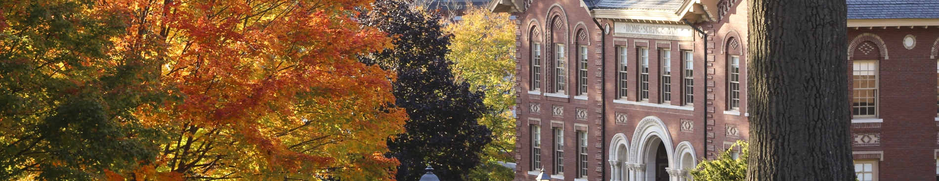 Red brick building with lots of different colored trees around it