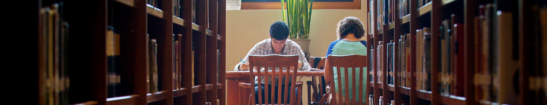 Students studying at table in library