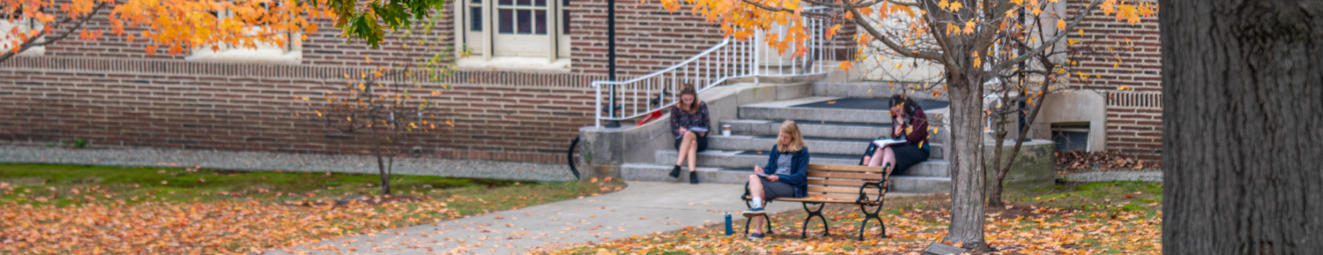 Students study on New England campus