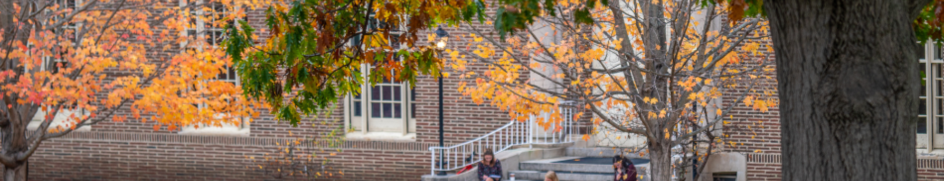 Students read in New England campus